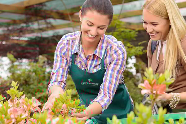 Sales Associate